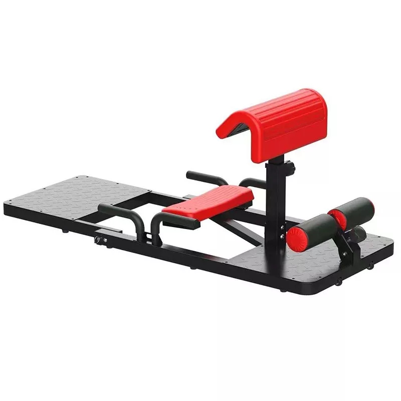 Home Gym Quad - Máquina de Sentadillas Sissy 3 en