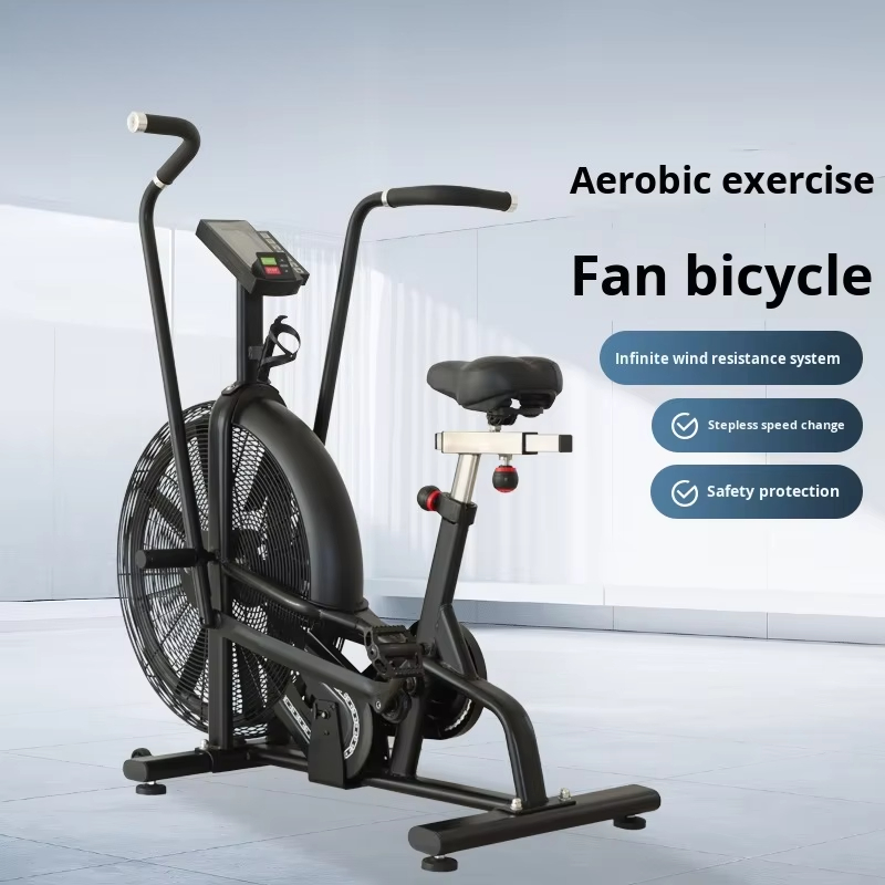 Bicicleta de Ejercicio Aeróbic - Home Gym Leg reseña y precio