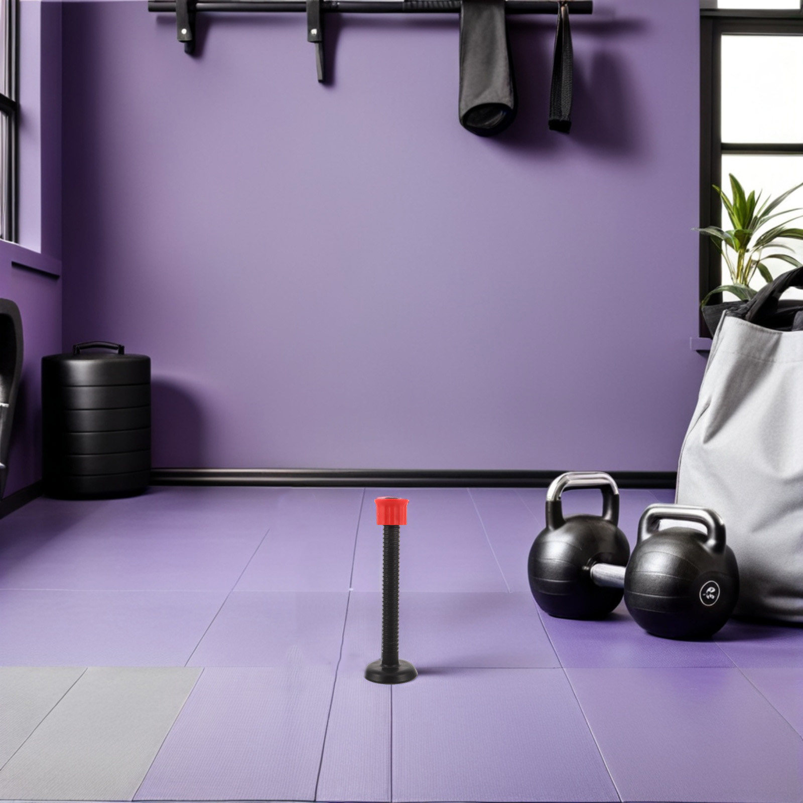 Barras de soporte de plástico  - Home Gym Women reseña y precio