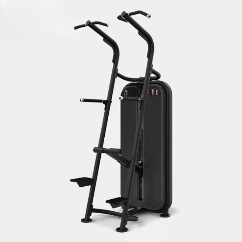 Barra paralela asistida para f - Home Gym Equipment Diy reseña y precio