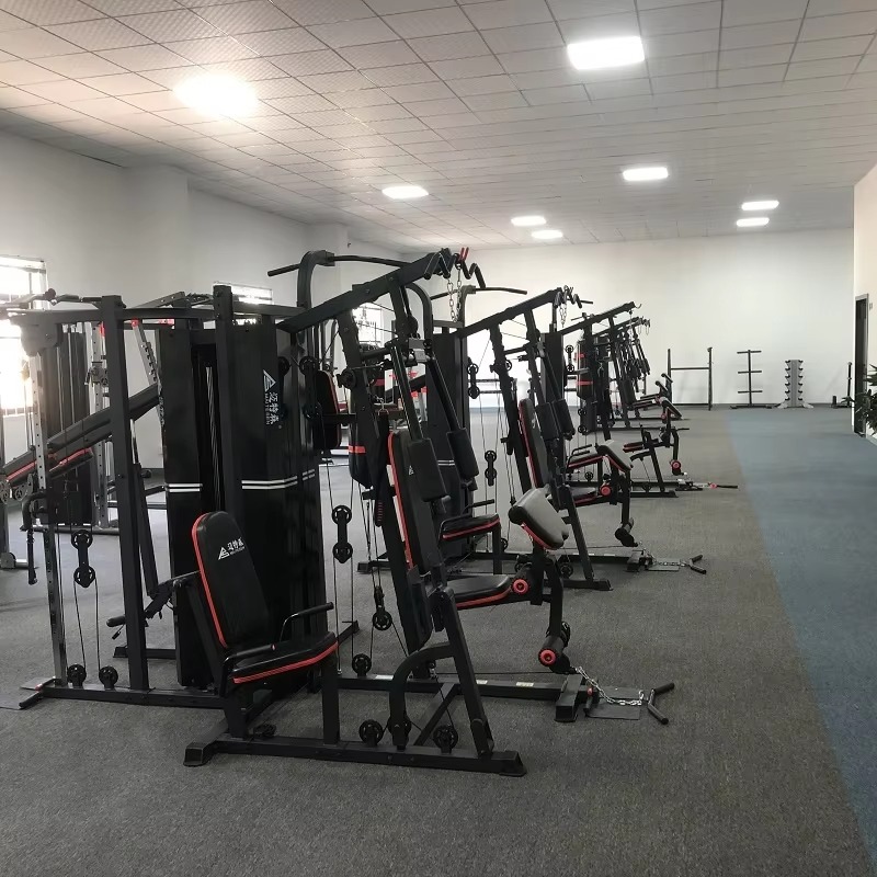 Entrenador en casa de gimnasio - All In One Gym Home Equipment reseña y precio